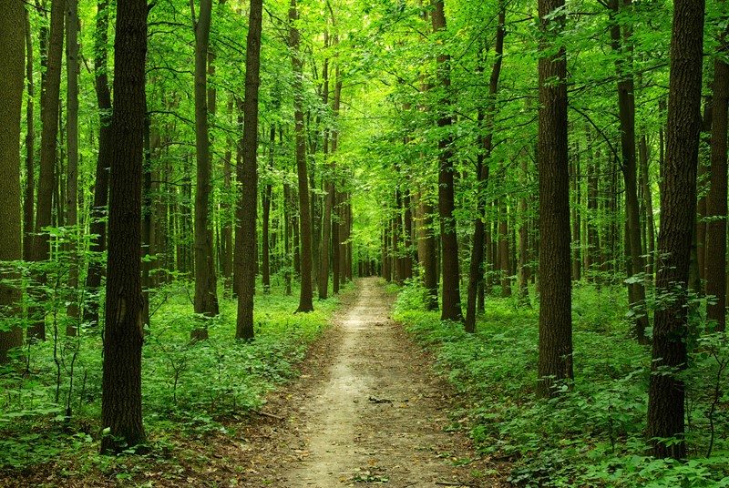 Featured Image
