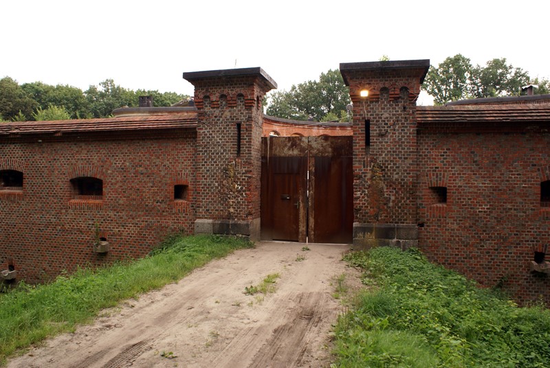 Featured Image